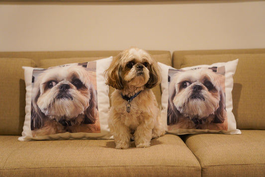 Custom Premium Pillow